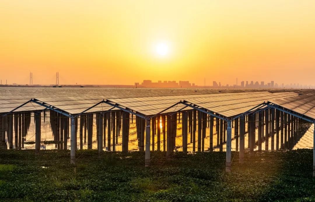 Beyond Success - lehu.com Achieved a Preferred Scale of 1120 MW in Jiangxi